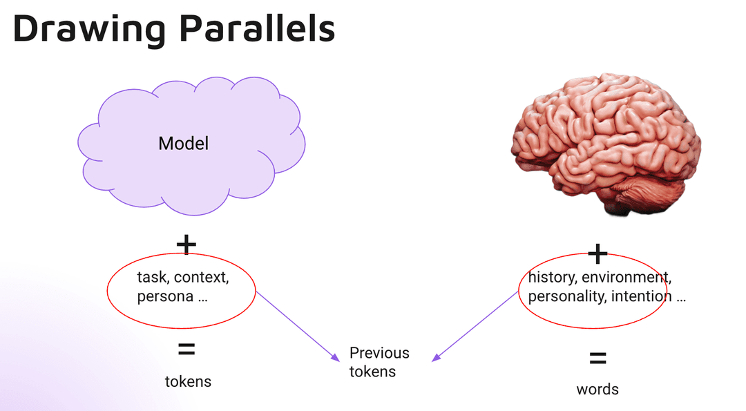 Models vs Humans